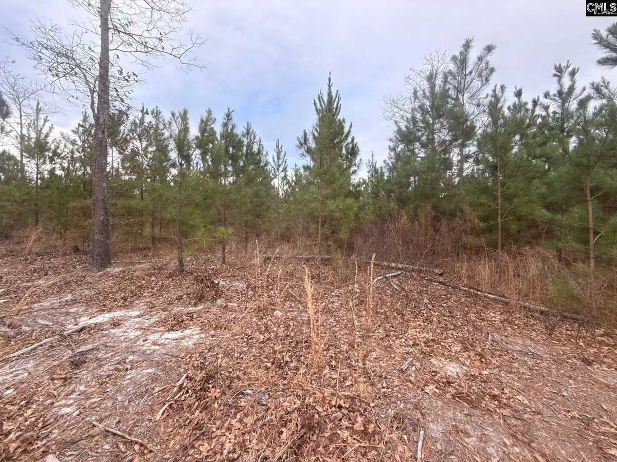 QBF 9 Quattlebaum Road #QBF 9, Leesville, SC 29070 - #1