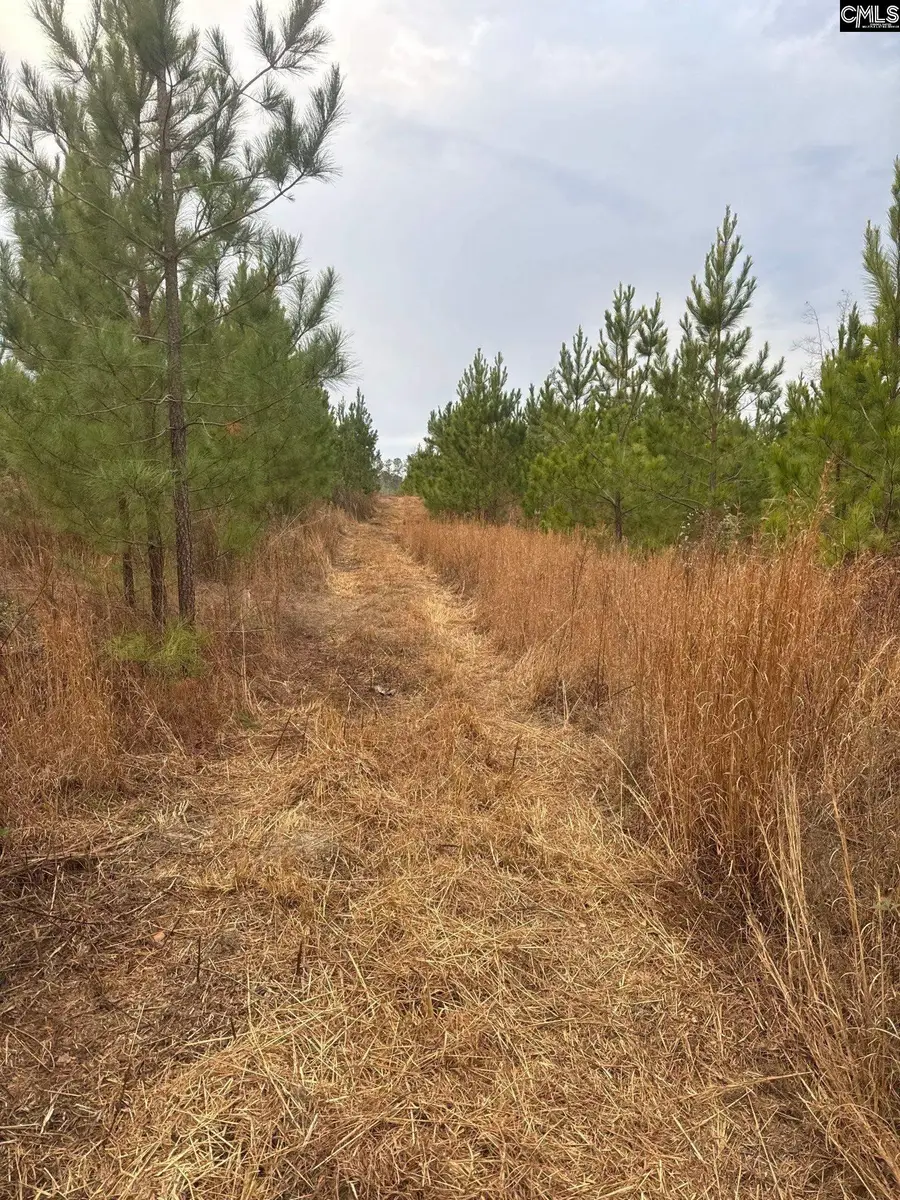 QBF 9 Quattlebaum Road #QBF 9, Leesville, SC 29070 - #3