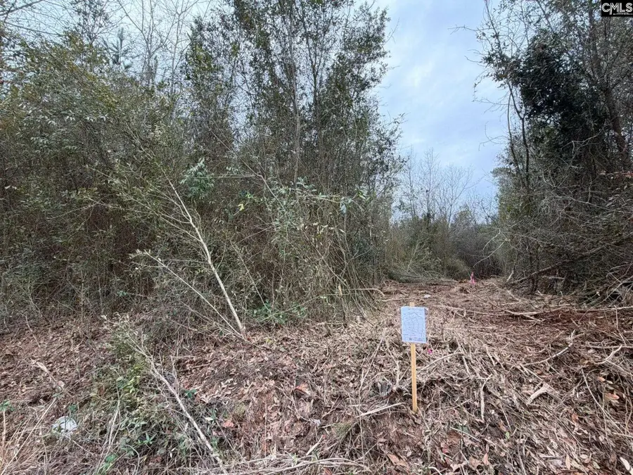 BFF II 2 Jc Barefoot Road #BFF II 2, Patrick, SC 29854 - #3