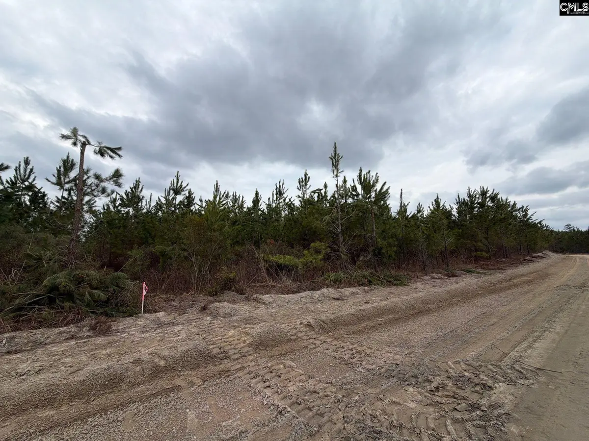 BFF II 5 Brunson Teal Road #BFF II 5, Patrick, SC 29854 - #1