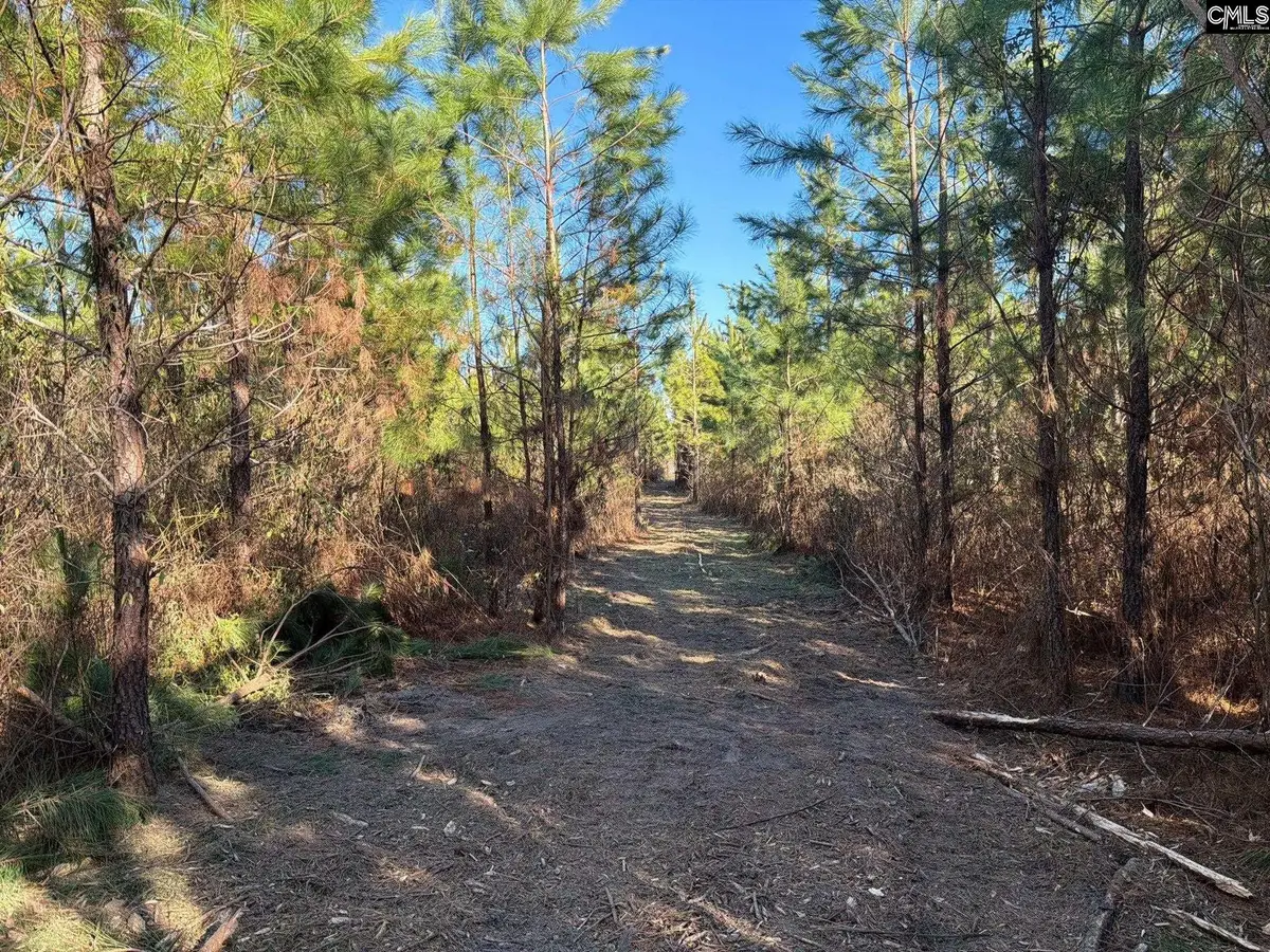 BFF II 6 Brunson Teal Road #BFF II 6, Patrick, SC 29854 - #1