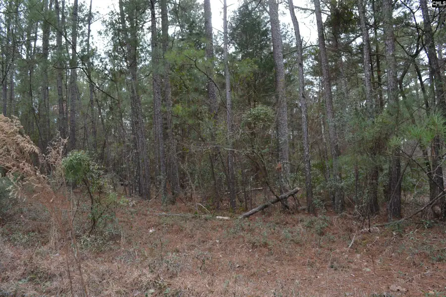 1909 Whitting Green Lane, Lugoff, SC 29078 - #2