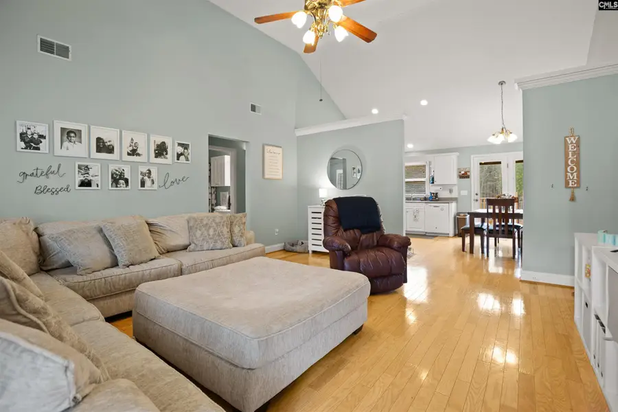 116 Pear Court, Lexington, SC 29073 - #3