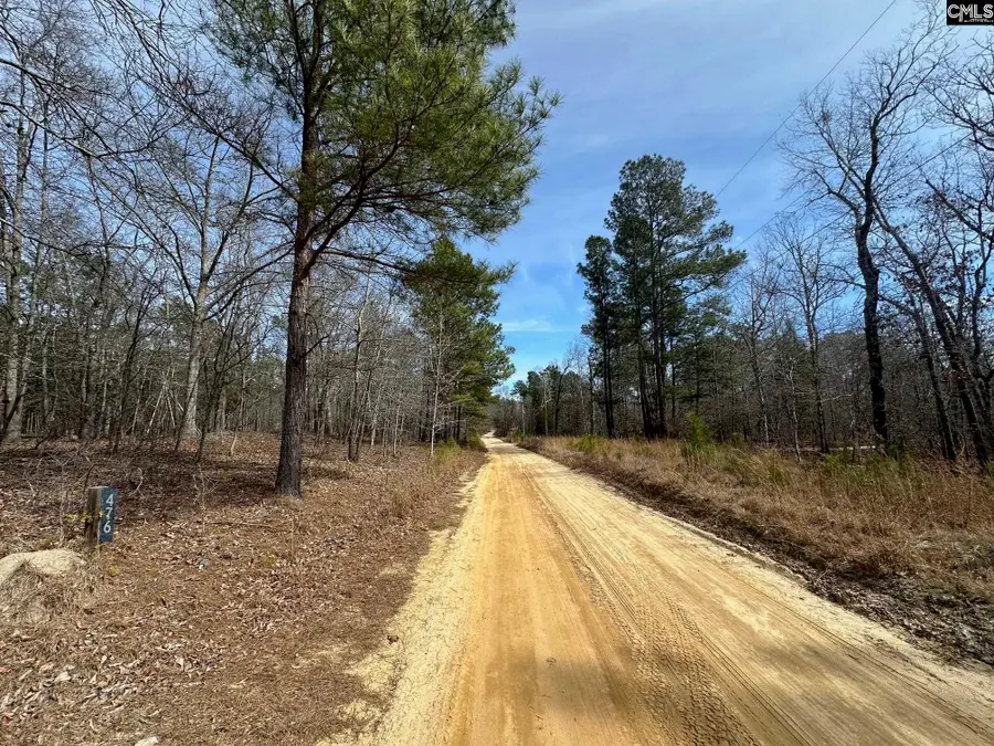 476 Calmont Drive, Swansea, SC 29160 - #2