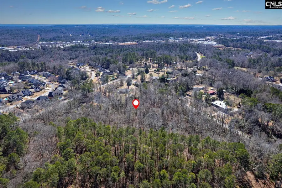0000 Midway Road, Lexington, SC 29072 - #3