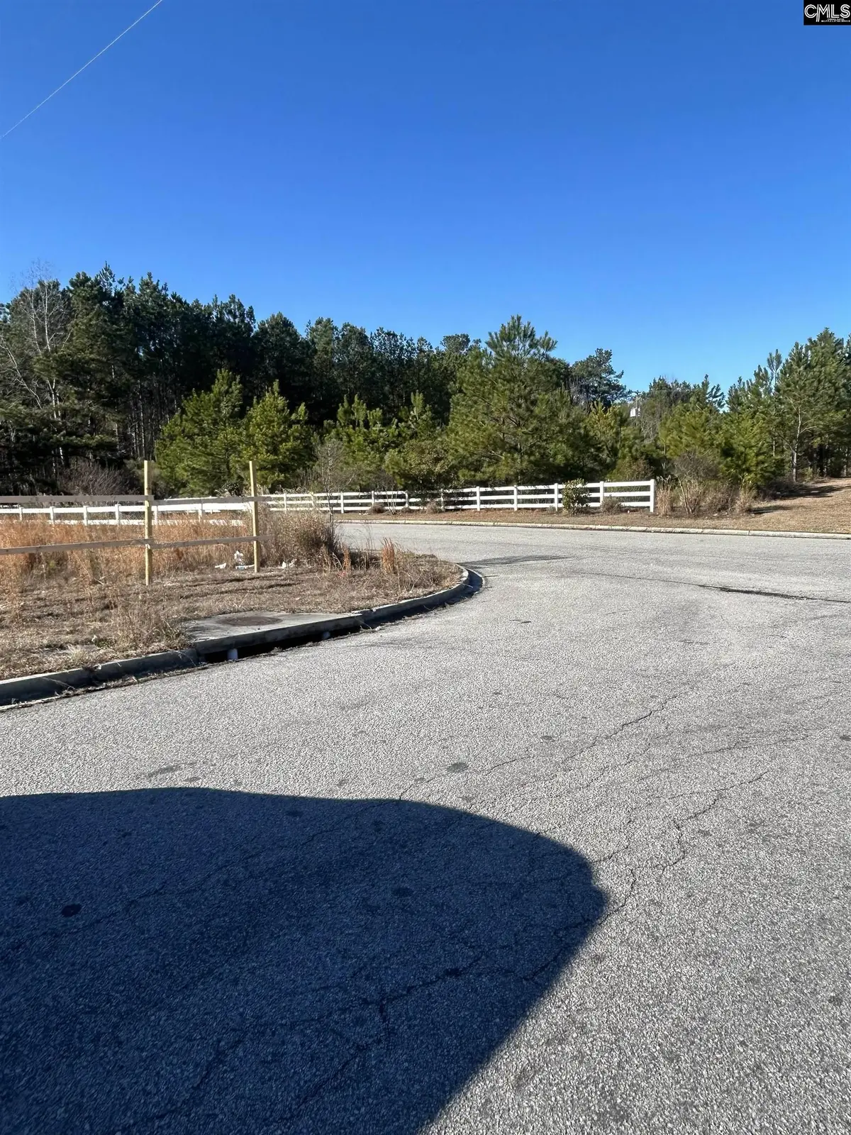 320 Rice Meadow Way, Columbia, SC 29229 - #1