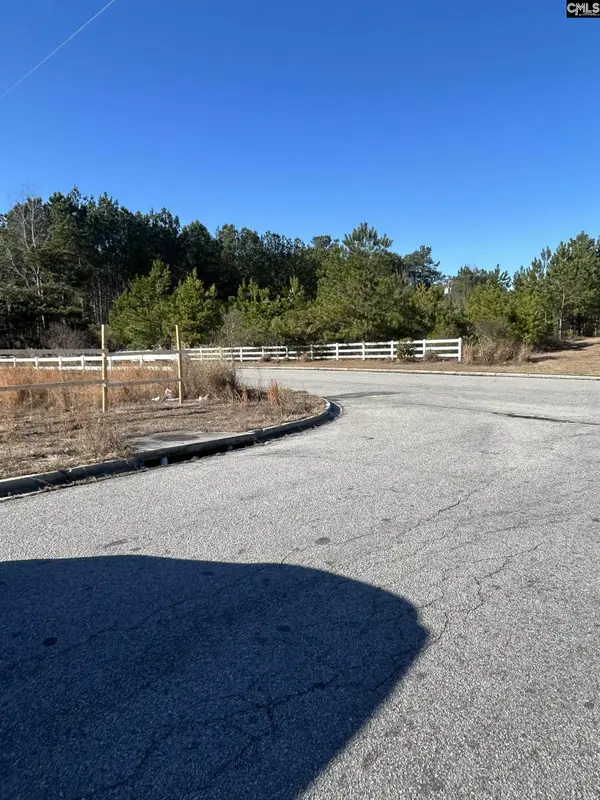 320 Rice Meadow Way, Columbia, SC 29229