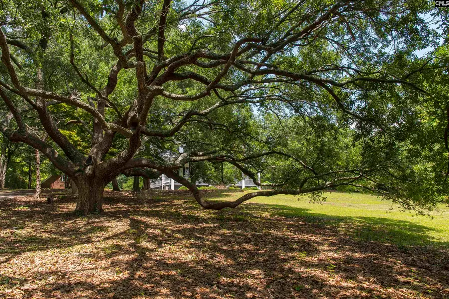 414 Greene Street, Camden, SC 29020 - #3