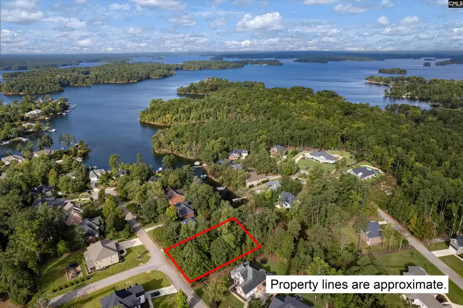 416 Lookover Pointe Drive, Chapin, SC 29036 - #2