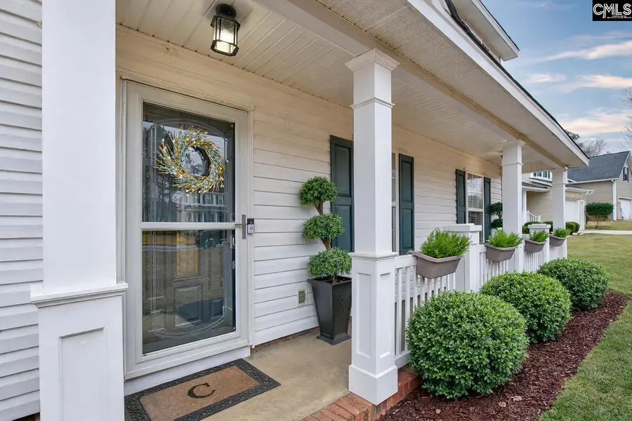 188 Kerry Gibbons Drive, Chapin, SC 29036 - #3