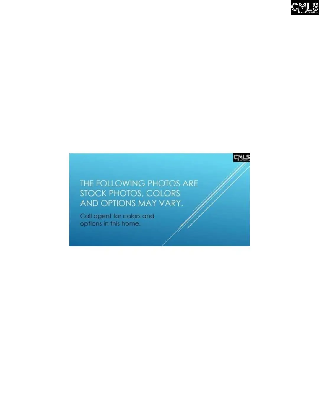 172 Schneider Lane, Lexington, SC 29072 - #1