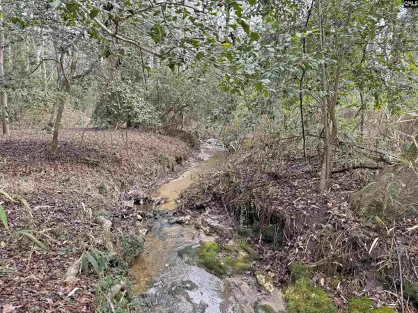 0 Tall Timber Drive, Leesville, SC 29070