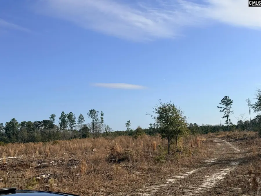 0 Festival Trail Road, Salley, SC 29137 - #3