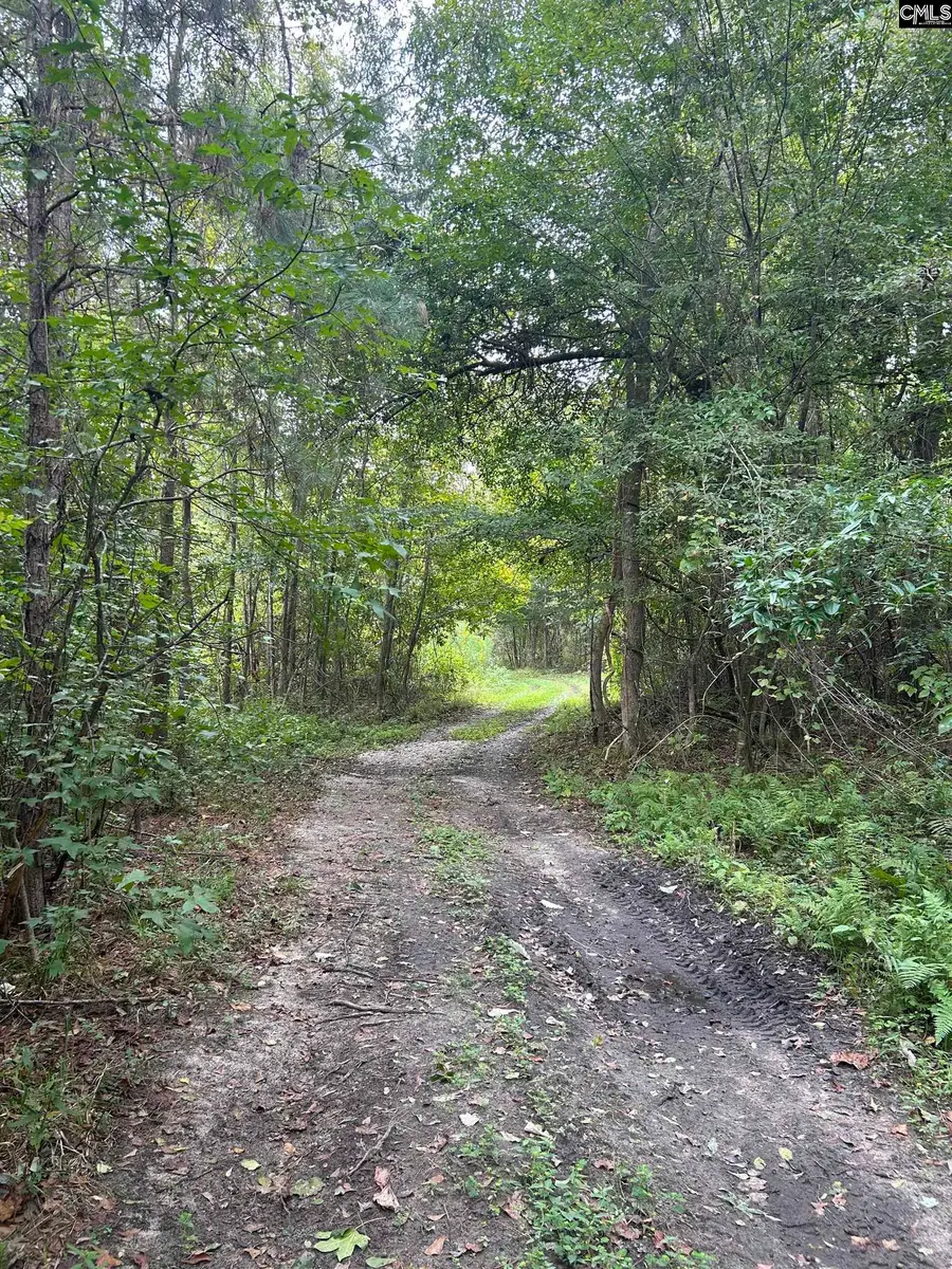 8200 Salem Road, New Zion, SC 29111 - #2