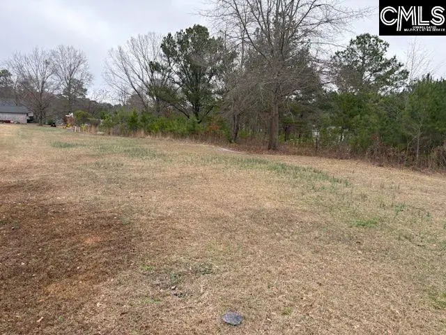 120 Ray Kelly Road, Blythewood, SC 29016 - #3