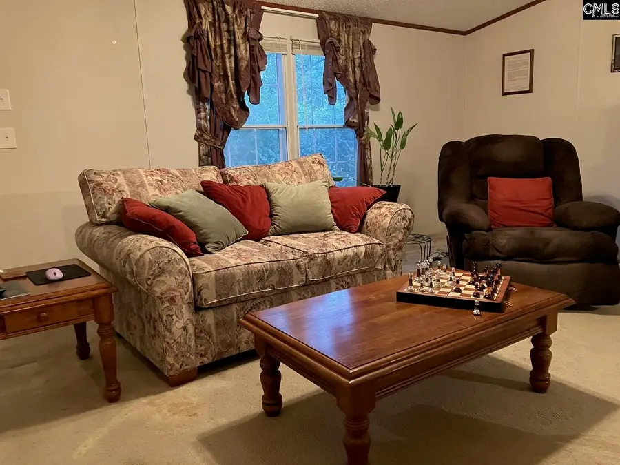 1801 Old Orangeburg Road, Lexington, SC 29073 - #3