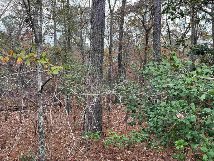 TBD Parkwood Avenue, North, SC 29112 - #2