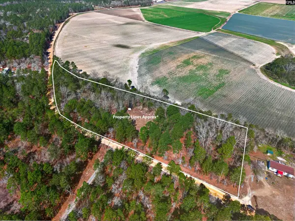 0 Rimrock Road, Leesville, SC 29070