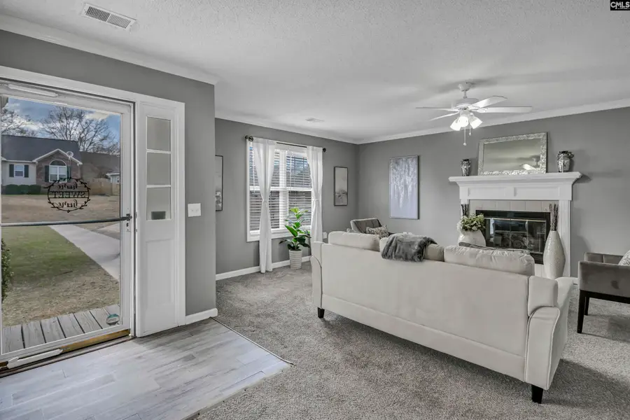 269 Mossborough Drive, Lexington, SC 29073 - #3