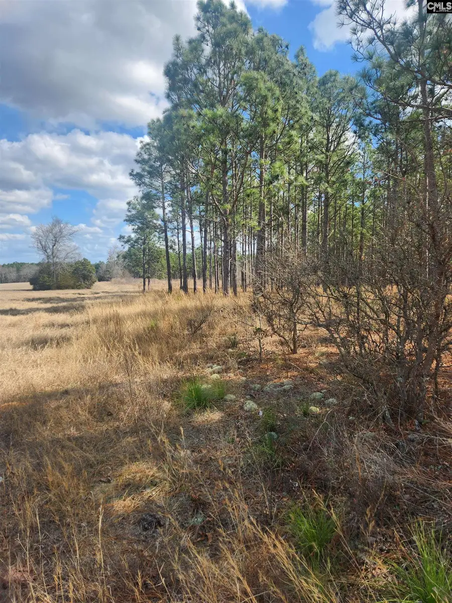 North Fork Road, Monetta, SC 29006 - #3