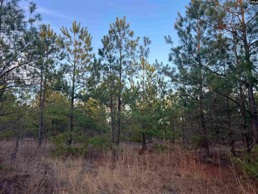 Kelly Day Road, Gilbert, SC 29054 - #3