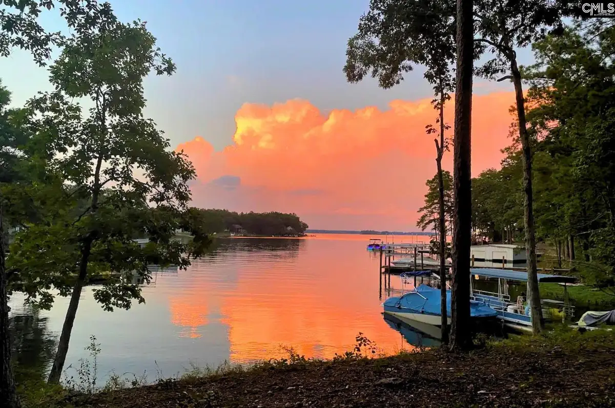 1317 Shore Road, Gilbert, SC 29054 - #1