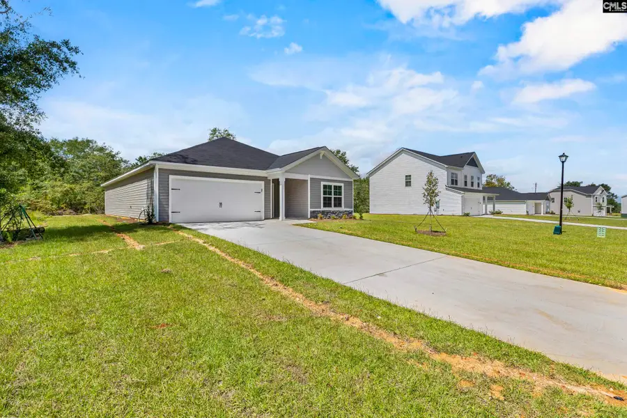 184 Calm Citadel Drive, Pelion, SC 29123 - #2