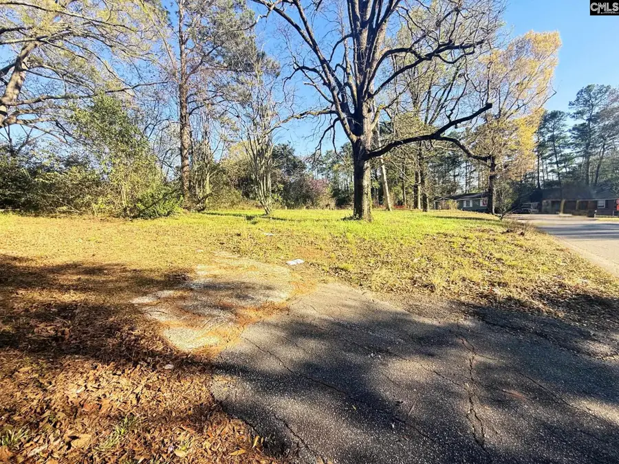 113 Duke Avenue, Columbia, SC 29203 - #3