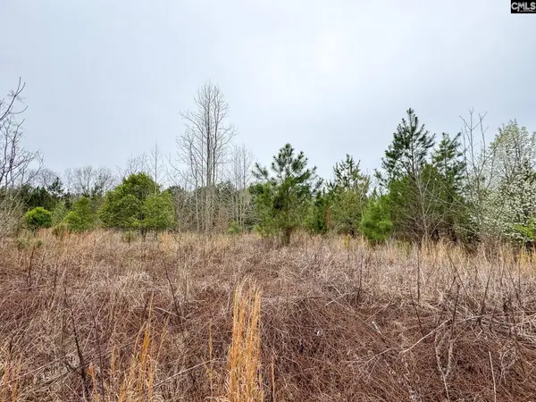 0 S Bethlehem Road, Batesburg, SC 29006