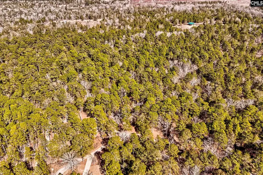 0 Edisto Lake Road, Wagener, SC 29164 - #3