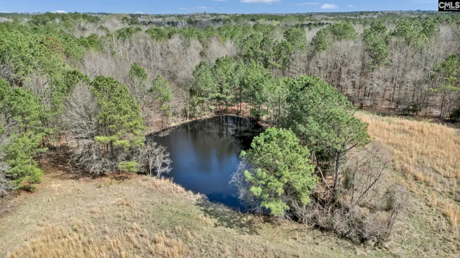 1693 Sumter School Road, Ward, SC 29166 - #3