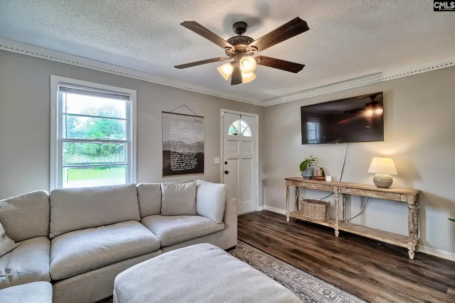 155 Lisa Drive, Lexington, SC 29073 - #3