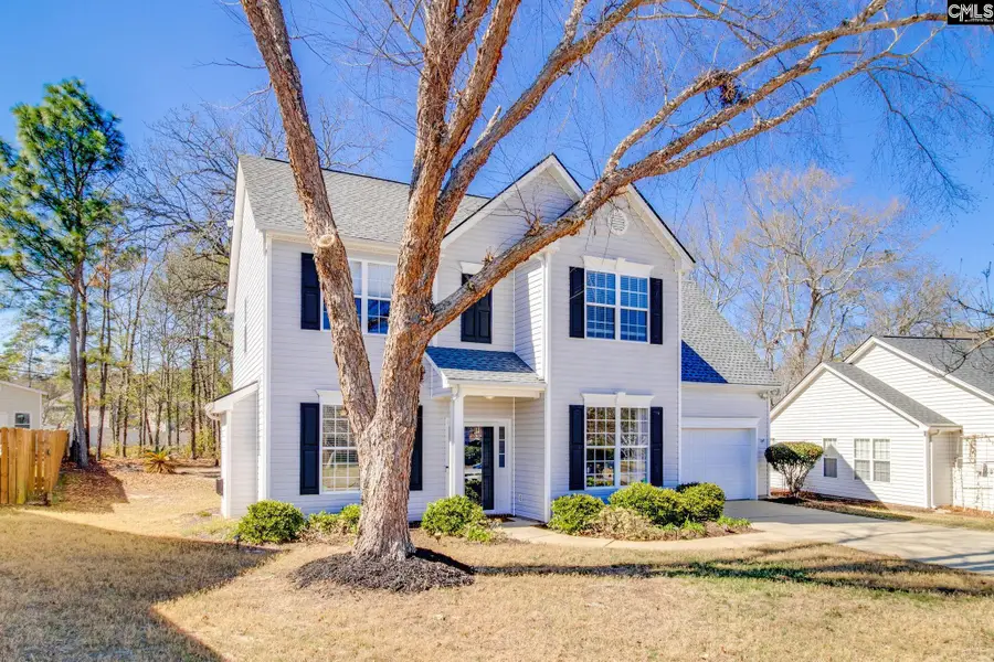 117 Hobden Court, Lexington, SC 29073 - #3