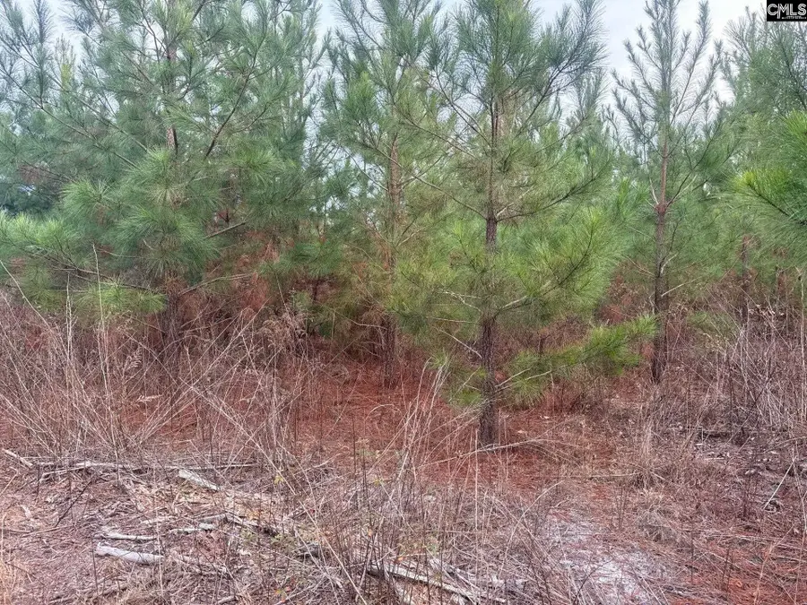 QBF 12 Nurnberg Drive #QBF 12, Leesville, SC 29070 - #2