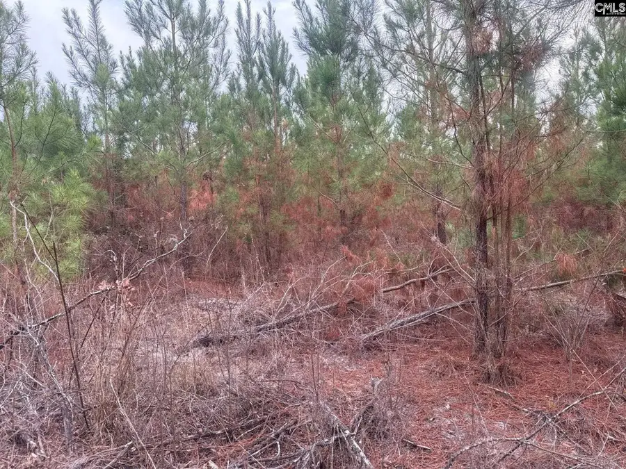 QBF 12 Nurnberg Drive #QBF 12, Leesville, SC 29070 - #3