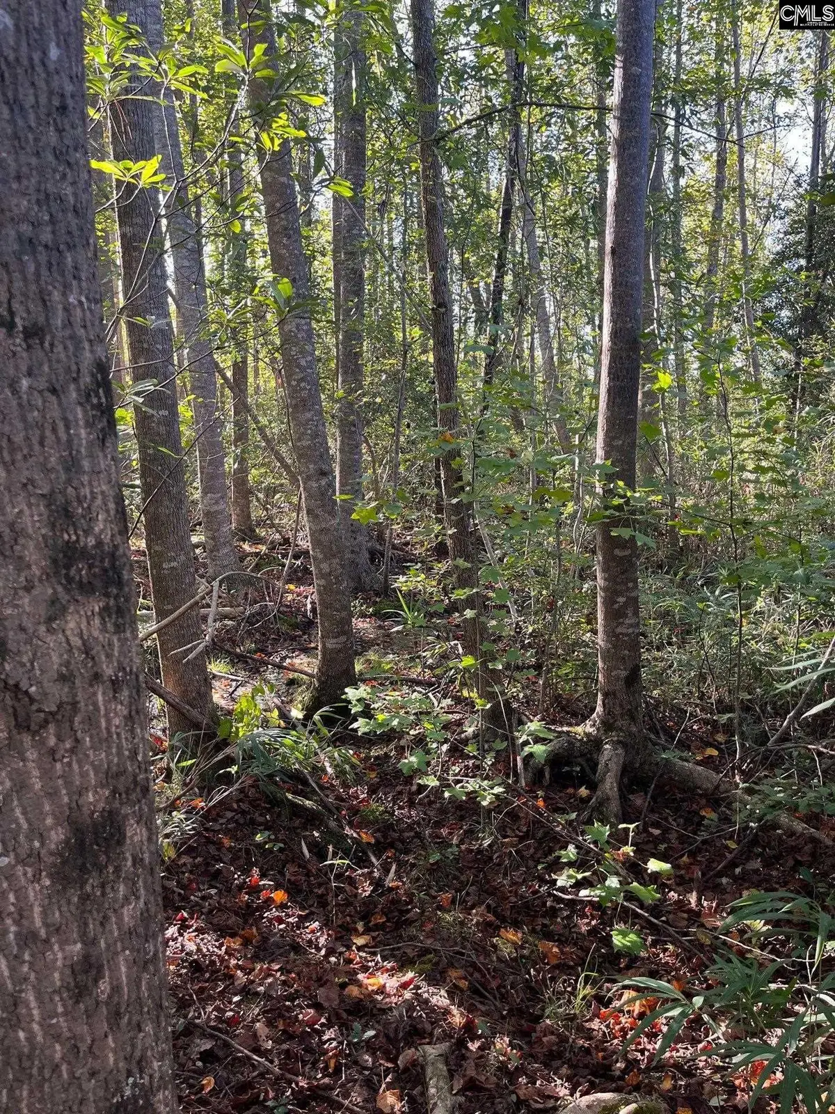 PPF 18 Payne Pond Road #PPF 18, Westville, SC 29175 - #1