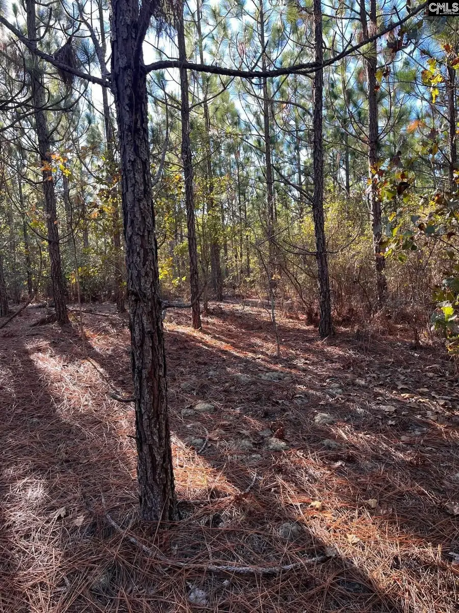 PPF 18 Payne Pond Road #PPF 18, Westville, SC 29175 - #3