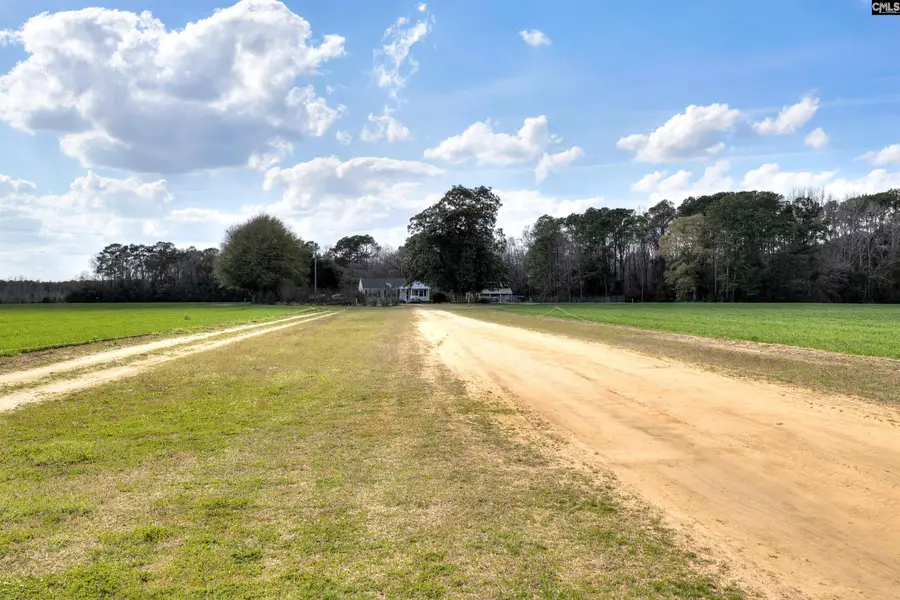 1404 Dog Island Rd, Bishopville, SC 29010 - #3