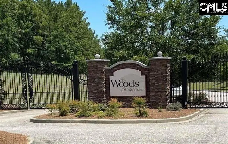 290 Retreat Way, Ridgeway, SC 29130 - #1