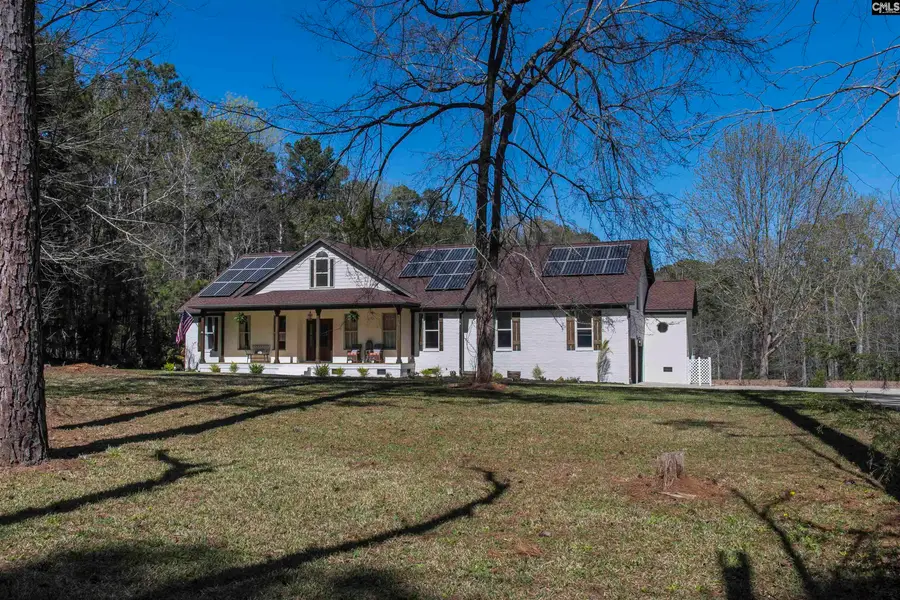 141 Eagle Chase Court, Chapin, SC 29036 - #3