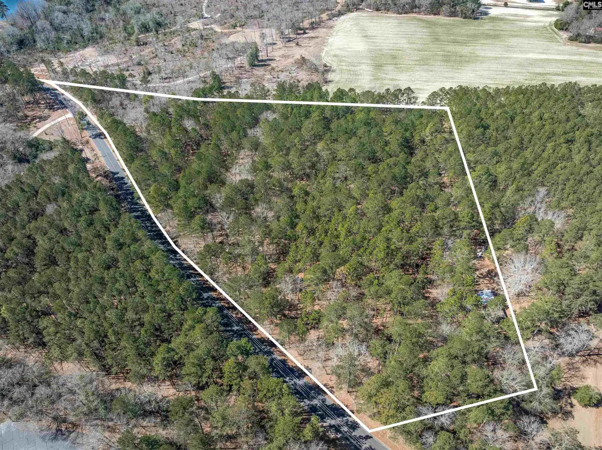 0 Windy Road, Gilbert, SC 29054 - #1