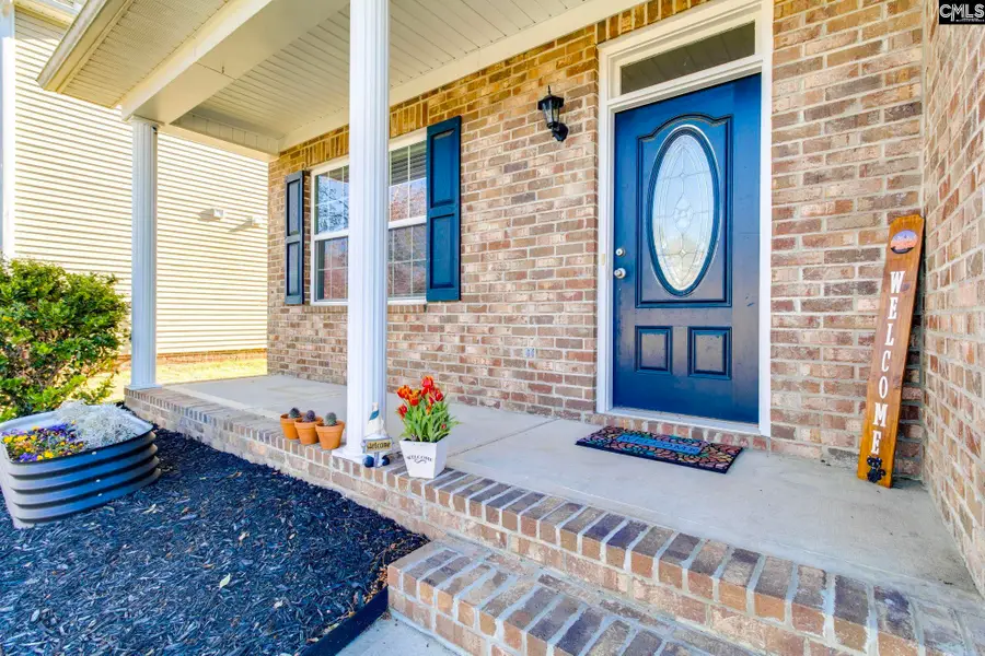 141 Palm Street, Chapin, SC 29036 - #2