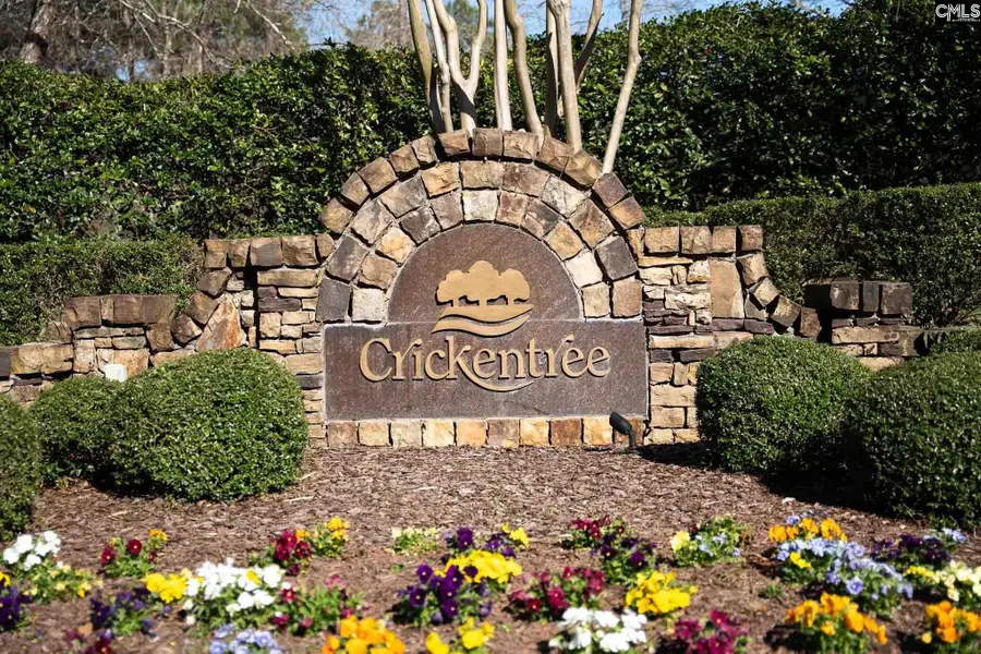 210 Stormycreek Lane, Blythewood, SC 29016 - #2