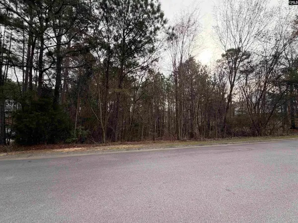 1334 Camping Road, Gilbert, SC 29054