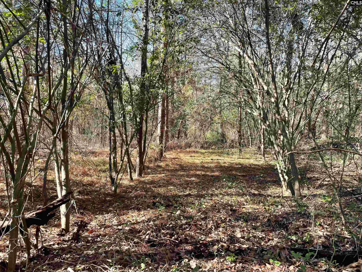 0 Green Hills Drive, Gilbert, SC 29054 - #1