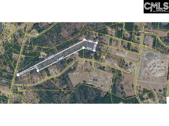 0 Green Hills Drive, Gilbert, SC 29054 - #3