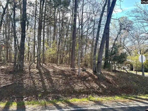 Holley Ferry Road, Leesville, SC 29070