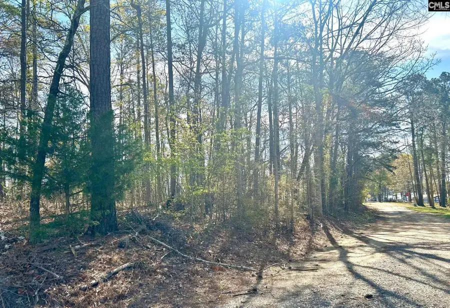 Holley Ferry Road, Leesville, SC 29070 - #2