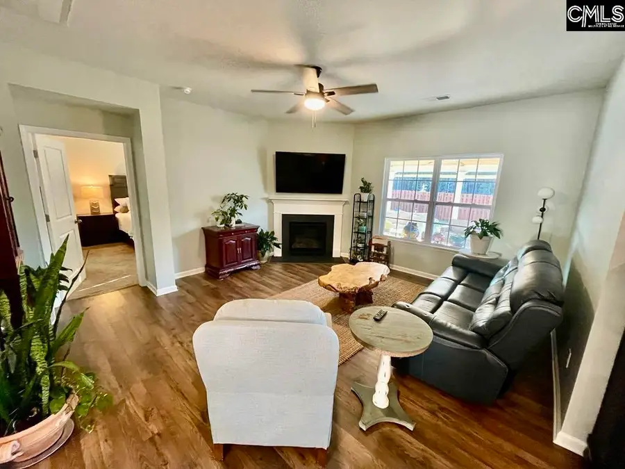 237 Timber Wood Drive, Chapin, SC 29036 - #2