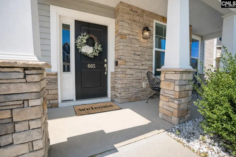 665 Blue Ledge Circle, Lexington, SC 29072 - #3